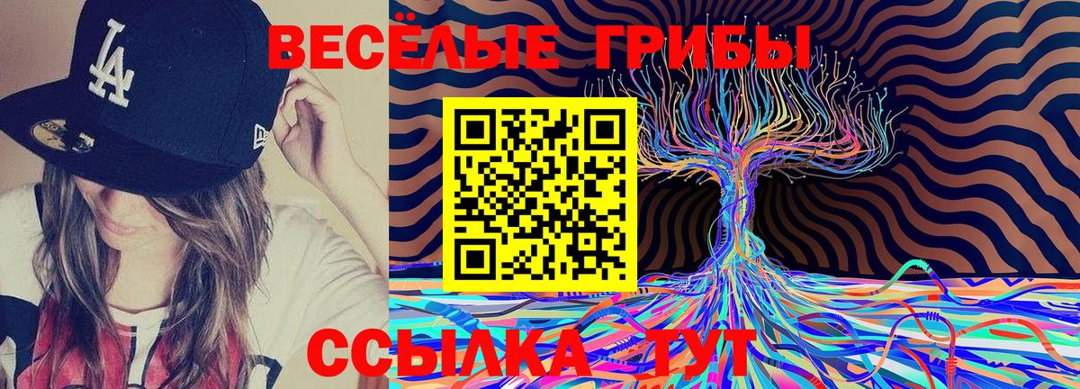 Галлюциногенные грибы Magic Shrooms  Вход с VPN  Златоуст  Псилоцибиновые грибы мицелий 