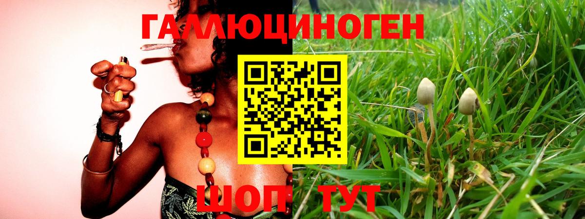 Псилоцибиновые грибы мицелий Златоуст